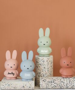 Alternative view of Miffy Piggy Bank Warm with name