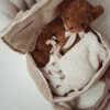 Overnachtings Teddy Bag