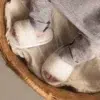 Luxury Baby Shops Bambam