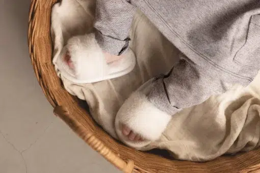 Luxury Baby Shops Bambam
