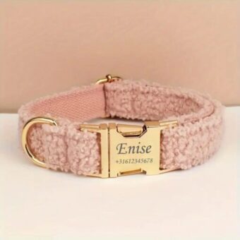 Personalized Teddy Collar for Dog or Cat