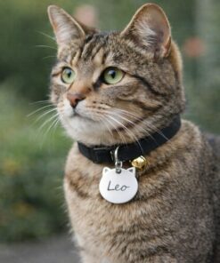 Cat Tag with Name